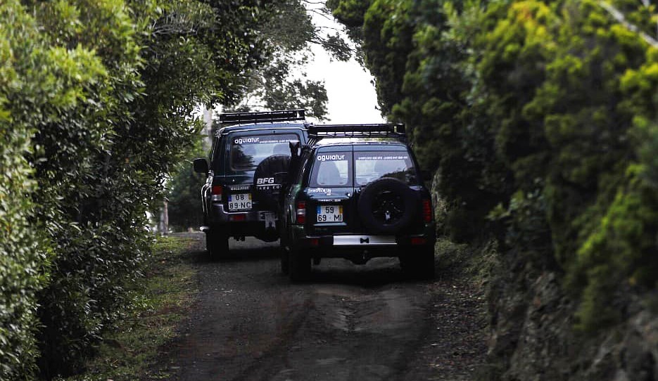 Jeep Tour (Half Day – Center West)